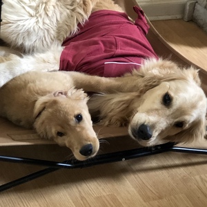 Fundraising Page: Caroline Morgan